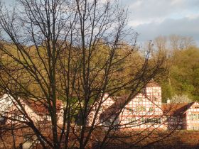 CIMG0230.JPG